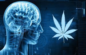 the psychological effect of marijuana use?